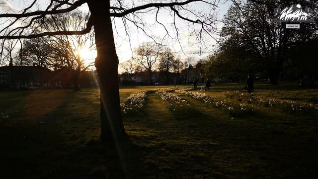 4k London  The London Eye Observation Wheel #london