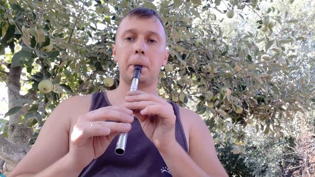 Новый Тин Вистл для @Tin Whistle Traveler#13