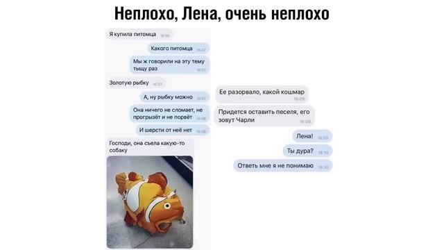 Большая подборка мемов. Расписание в современной школе. У МЕНЯ НОКИА 3310 !!! смотреть онлайн