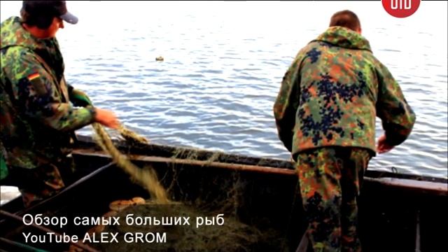 Подводная охота №2 (04.02.2016) смотреть онлайн