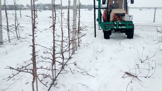 Обрезчик контурный для сада яблони, мтз 921. Обрезка интенсивного сада смотреть онлайн