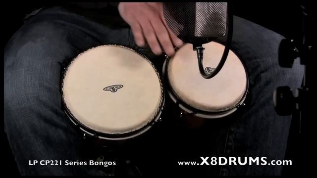 CP Traditional Bongo Drums - X8 DRUMS смотреть онлайн