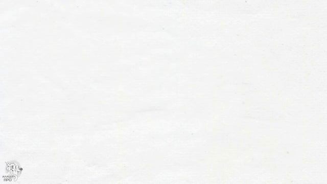 Брокер: это кто такой и что такое брокерская компания + виды брокеров и чем они занимаются на бирже