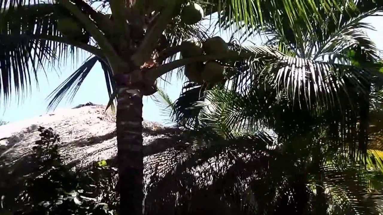 Копия видео Отель Cham Villas, Муи Не, Вьетнам