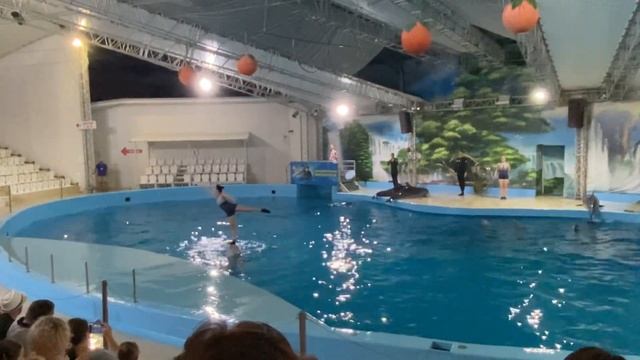 Дельфинарий Анапа смотреть онлайн