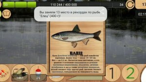 Как поймать елец для квеста ценный образец 1? Реальная рыбалка.