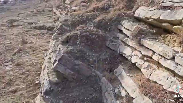 ФАКТЫ -- ВЕЩЬ УПРЯМАЯ . смотреть онлайн