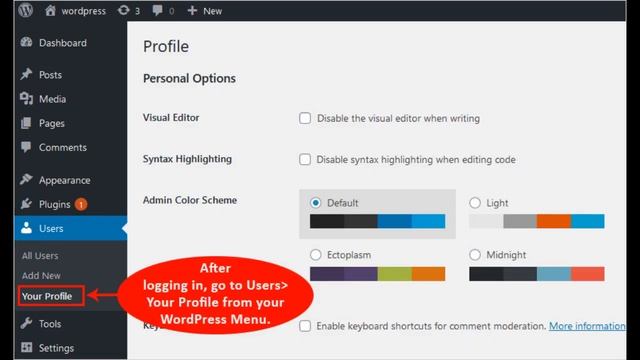 How to Change Password in WordPress смотреть онлайн