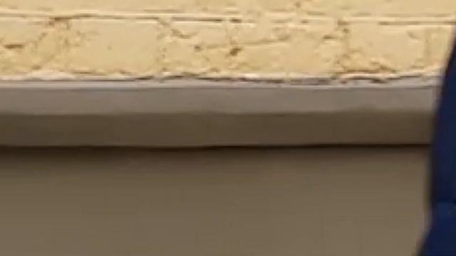 День программиста-студента смотреть онлайн