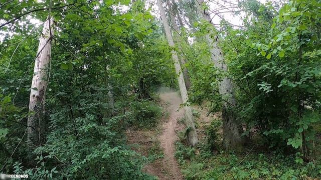 Эндуро в городе.Эндуро покатушки на мотоциклах смотреть онлайн