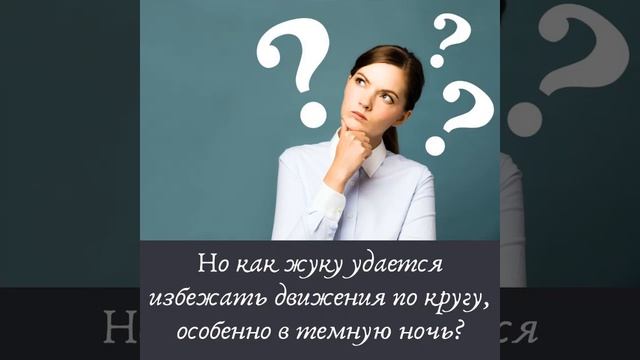 Навигационные способности навозного жука смотреть онлайн