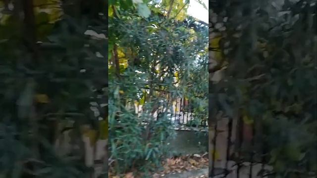 Еду на Мраморное море смотреть онлайн