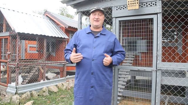 КАК ПРАВИЛЬНО ДАВАТЬ БЕЛОК РАСТИТЕЛЬНОГО ПРОИСХОЖДЕНИЯ КУРАМ НЕСУШКАМ. смотреть онлайн