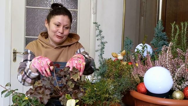 Новогодние композиции в контейнерах смотреть онлайн