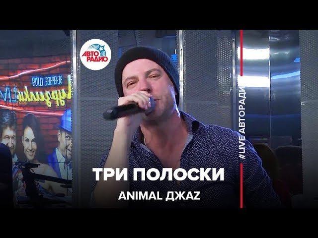 Animal ДжаZ - Три Полоски (LIVE @ Авторадио) смотреть онлайн