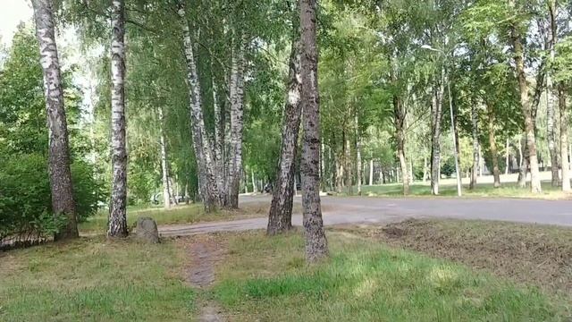 Добеле 1что стало с городом в городе?#латвия #добеле#развалины смотреть онлайн
