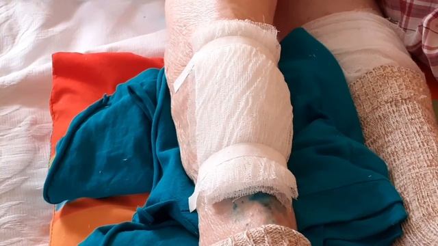 VLOG 116 Жду совет МАЗЬ ВИШНЕВСКОГО ????/ смотреть онлайн