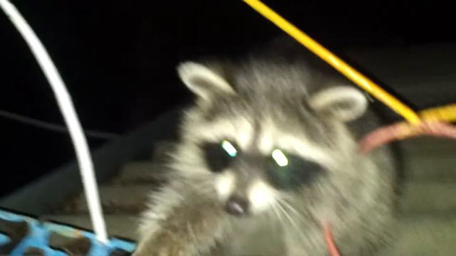 Бухта Инал-Еноты(№2)База отд."Айболит" уч.№1 смотреть онлайн