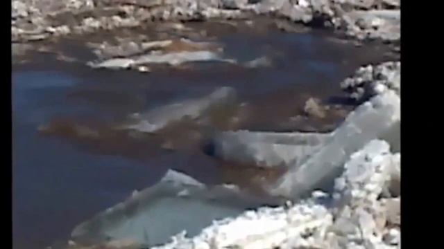 ЗАВОРАЖИВАЮЩИЙ ЛЕДОХОД!