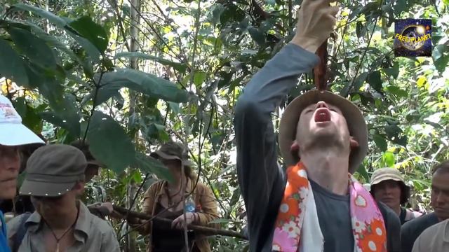 Питер Чобот «В Перу в целях познания себя и сущности бытия» смотреть онлайн