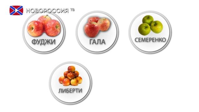 Суперинтенсивный сад ДНР смотреть онлайн