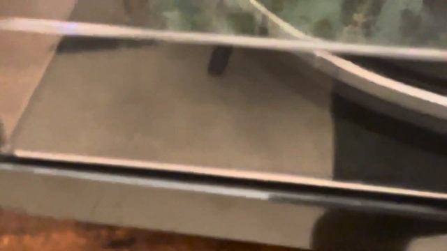 Best vinyl set up смотреть онлайн