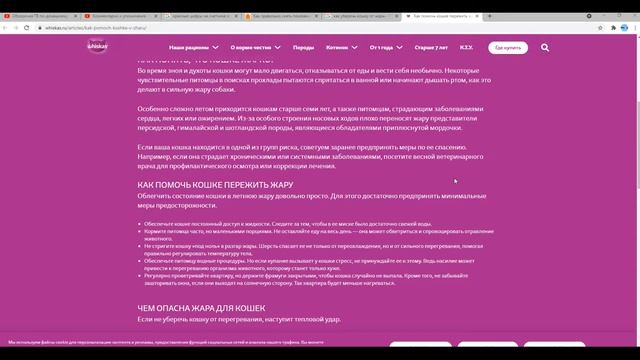 Мастерство и Индивидуальное Творчество