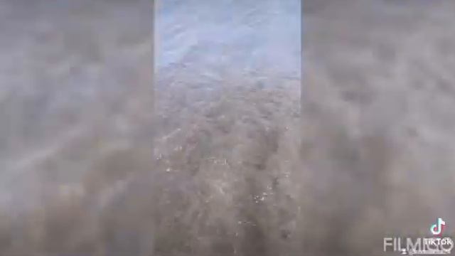 Так много гнили где нас растили. Дана Соколова - Индиго смотреть онлайн