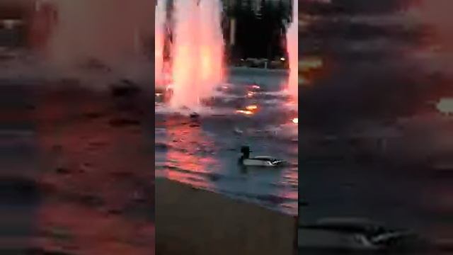 Фонтан на поклонной горе. смотреть онлайн