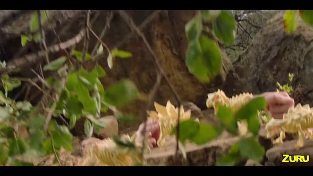 Zuru Robo Alive Egg смотреть онлайн
