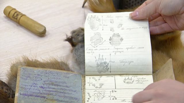 В Серовском историческом музее готовятся открыть выставку в преддверии Дня защитника отечества смотреть онлайн