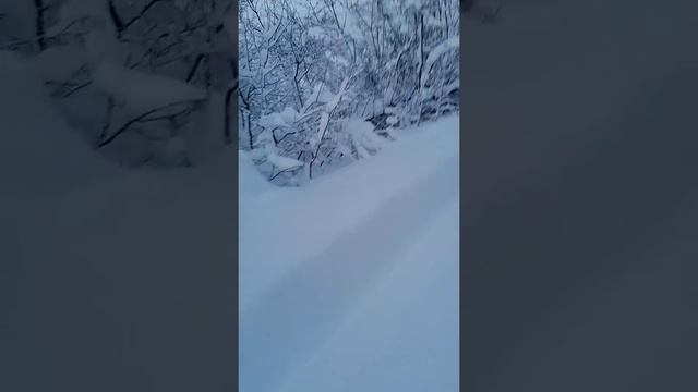 Гуково дороги не чистят смотреть онлайн