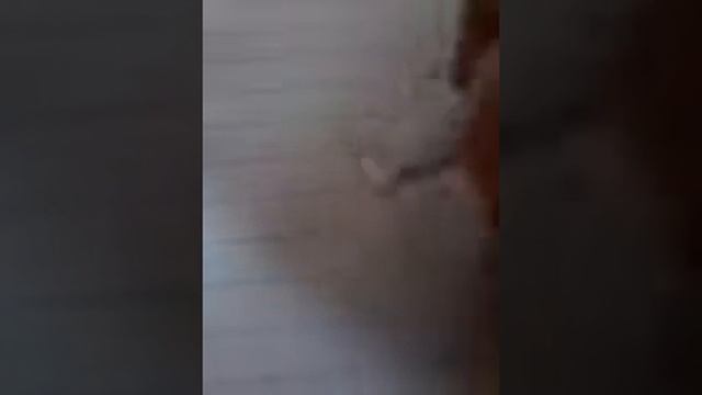 Делаем так что вам не могут учителя ставит 2 это работает смотреть онлайн