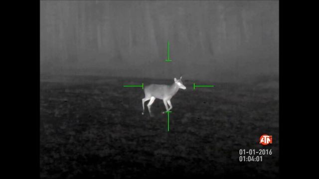 TEST JAKOŚCI OBRAZU W RÓŻNYCH WARUNKACH I ODLEGŁOŚCIACH TERMOWIZORA ATN MARS-HD 640X480 100MM смотреть онлайн