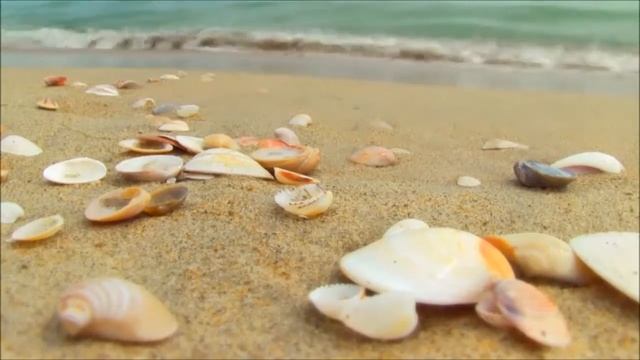 Как обратить на себя внимание смотреть онлайн