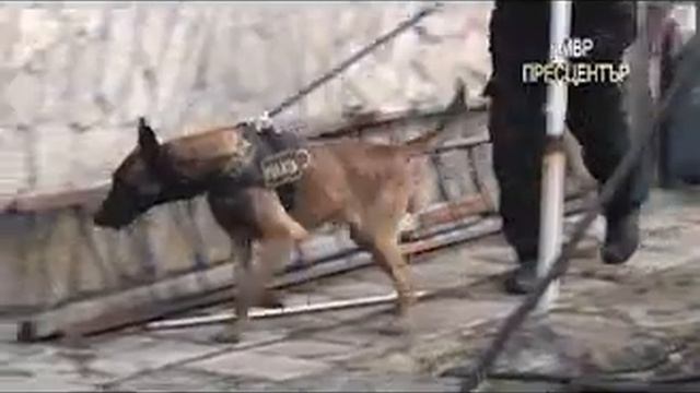 Арестувани са дилъри на Златко Баретата смотреть онлайн