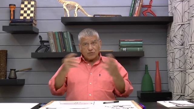 0.0. Преамбула смотреть онлайн