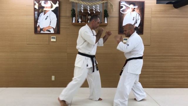 Combination #16. Yakusoku Kumite смотреть онлайн
