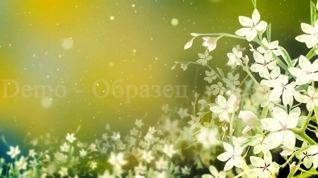 Видео-футаж фон с цветами смотреть онлайн