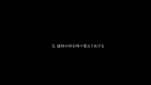 【ガーデニング】忙しくてもお庭を美しく保つ6つのヒント смотреть онлайн