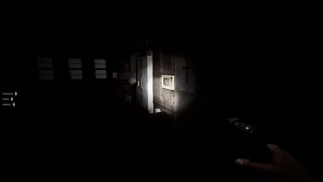 ЭТА ИГРА СЛЫШИТ ТЕБЯ ► Demonologist МОНТАЖ #28 смотреть онлайн