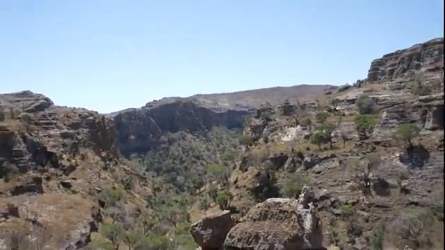 Мадагаскар Парк Исало Чихнул смотреть онлайн