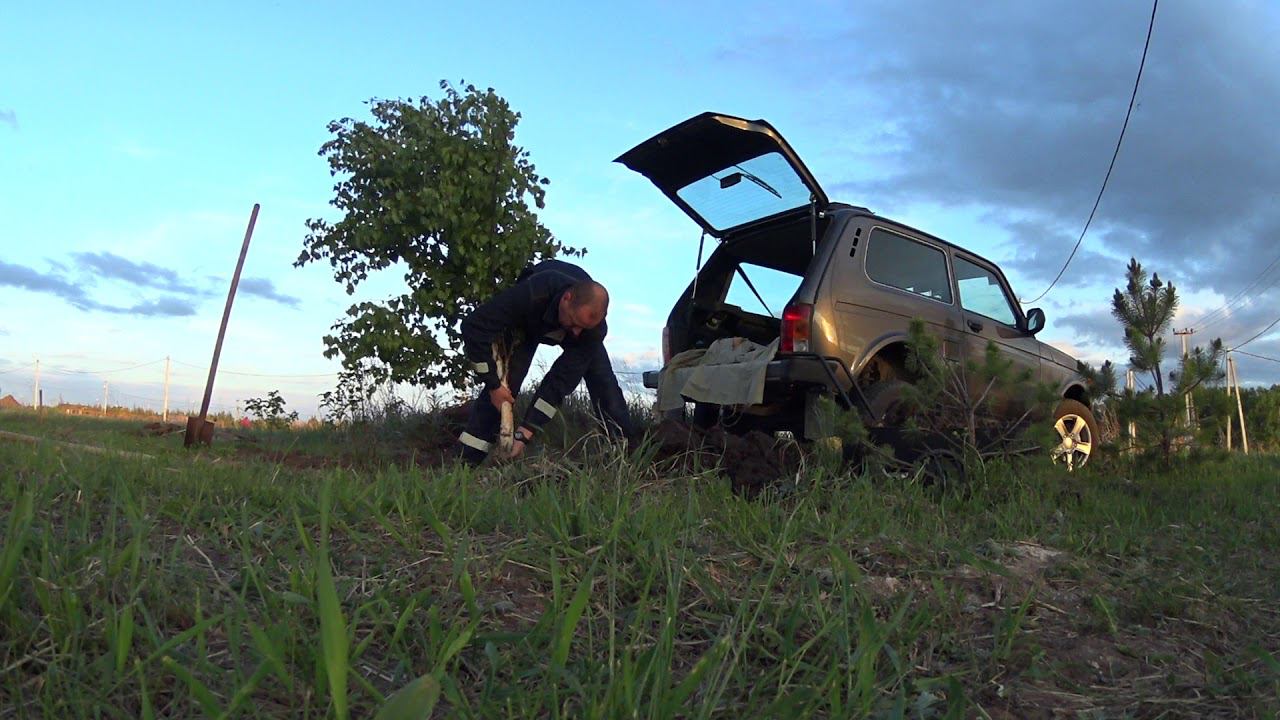 Перевозим березку на Лада 4х4 2020 смотреть онлайн