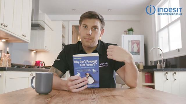 Fridge noises | by Indesit смотреть онлайн