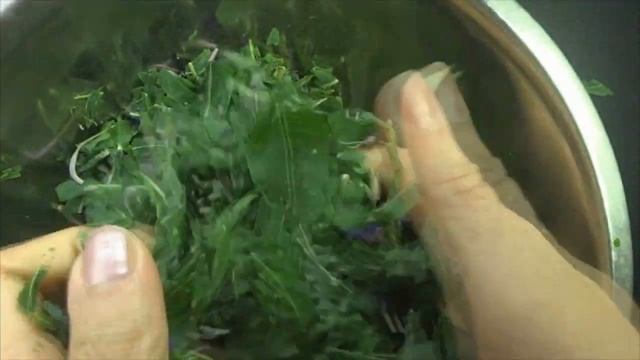 КАК БЫСТРО ферментировать иван чай с помощью заморозки смотреть онлайн