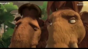 Чашмблк точики акорати 2022 Прикол 2022