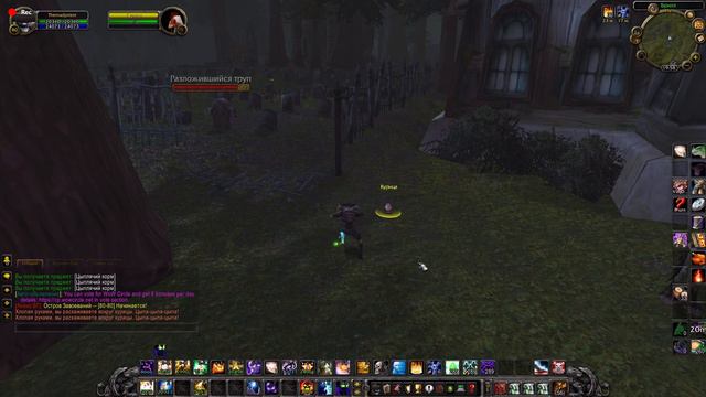 Цыплёнок западного края(питомец) скрытый квест орды.