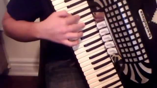 Stereo Love On Accordion/ Fisarmonica!