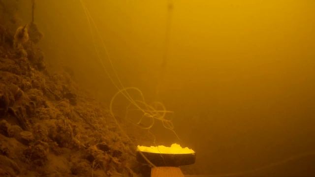 КАПЛИ ДЛЯ РЫБАЛКИ ТВОРЯТ ТАКОЙ ЖОР РЫБЫ, А ЧТО НА САМОМ ДЕЛЕ? РЕАКЦИЯ РЫБЫ НА АНИСОВЫЕ КАПЛИ смотреть онлайн