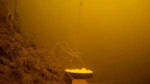 КАПЛИ ДЛЯ РЫБАЛКИ ТВОРЯТ ТАКОЙ ЖОР РЫБЫ, А ЧТО НА САМОМ ДЕЛЕ? РЕАКЦИЯ РЫБЫ НА АНИСОВЫЕ КАПЛИ